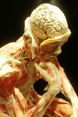 bodies_3.jpg